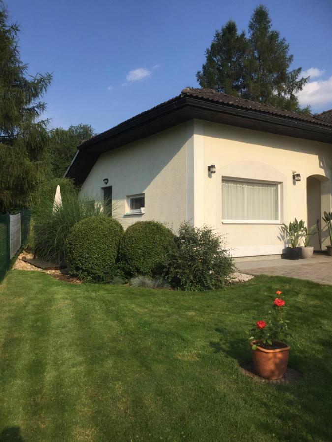 Studiovy Apartman V Zahrade Police nad Metuji Exterior photo